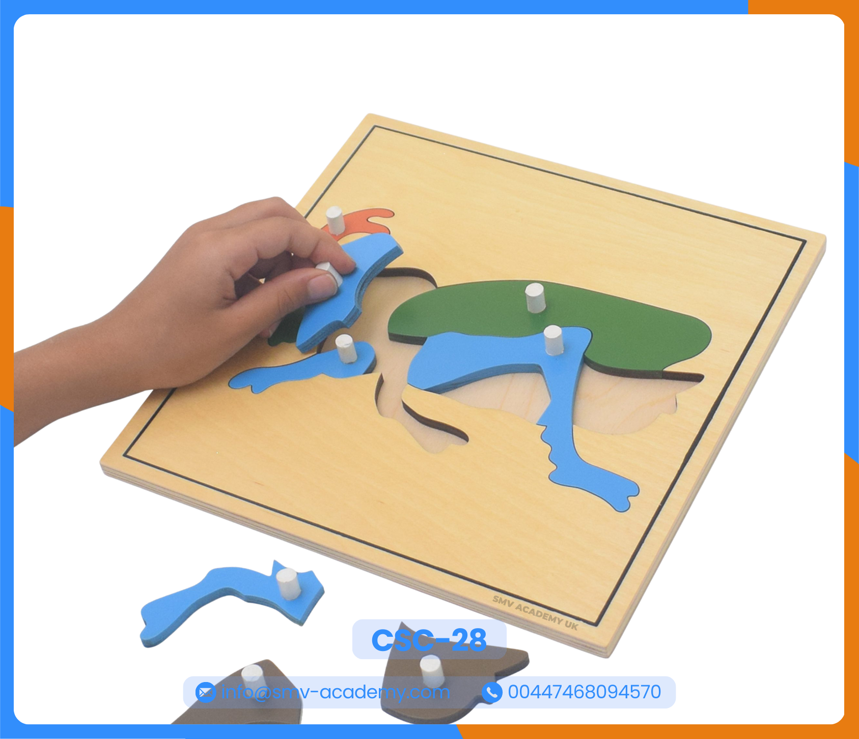 بازل أجزاء الجندب – الجراد